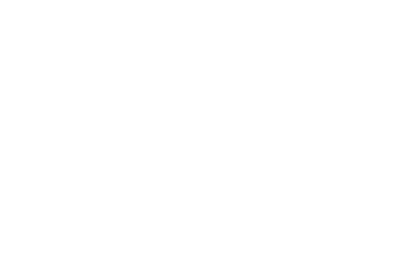 Festival Official Selection